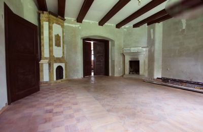 Manor House for sale Rogoźno, Dwór w Studzieńcu 28, Greater Poland, Photo 11/16