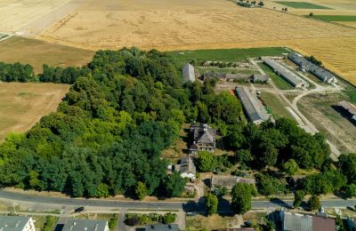 Manor House for sale Rogoźno, Dwór w Studzieńcu 28, Greater Poland, Property location