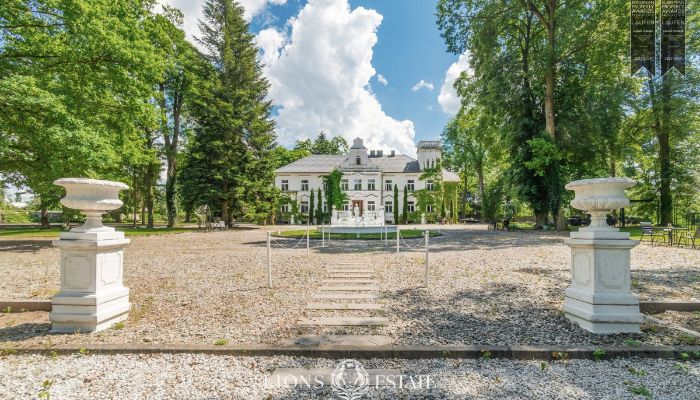 Manor House for sale Pstrokonie, Łódź Region,  Poland
