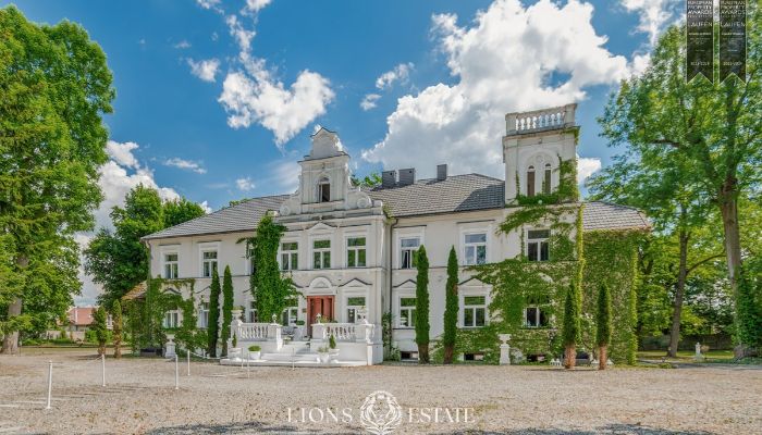 Manor House for sale Pstrokonie, Łódź Region,  Poland