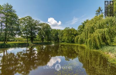 Manor house for sale Pstrokonie, Łódź Region, Photo 34/50