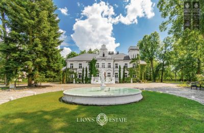 Manor house for sale Pstrokonie, Łódź Region, Photo 13/50