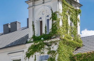 Manor house for sale Pstrokonie, Łódź Region, Photo 6/50