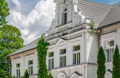 Manor house for sale Pstrokonie, Łódź Region, Photo 5/50