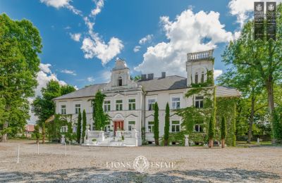 Manor House Pstrokonie, Łódź Region