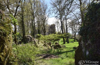 Medieval Castle for sale Le Caylar, Occitania, Photo 12/13