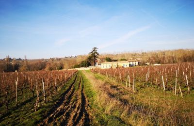 Castle for sale Blaye, New Aquitaine, Photo 12/14