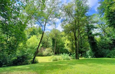 Mill for sale Pissos, New Aquitaine, Photo 13/14