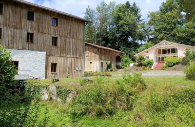 Mill for sale Pissos, New Aquitaine, Photo 2/14