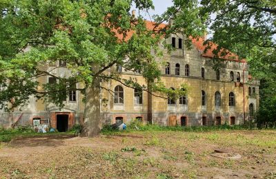 Let's buy and save a castle, Back view