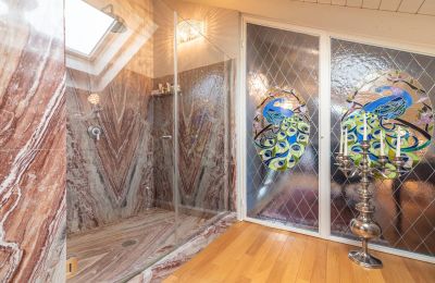 Historic Villa for sale 28040 Lesa, Piemont, Photo 38/42
