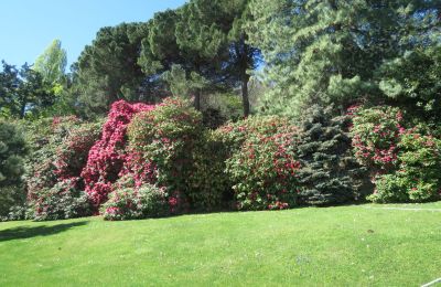 Historic Villa for sale Belgirate, Piemont, Photo 34/39