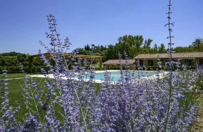 Country home for sale Montepulciano, Tuscany, Photo 17/17