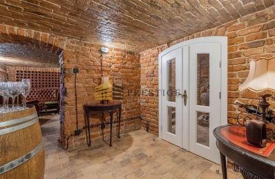Manor House for sale Naruszewo, Mazovia, Photo 22/25