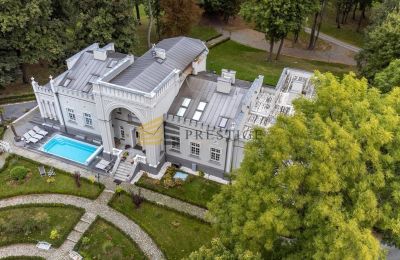 Manor House for sale Naruszewo, Mazovia, Photo 5/25