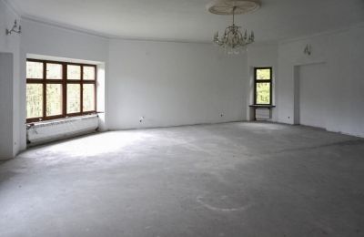 Medieval Castle for sale Zagórzany, Lesser Poland, Interior 1