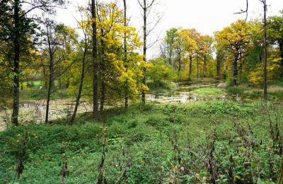 Medieval Castle for sale Zagórzany, Lesser Poland, Lake