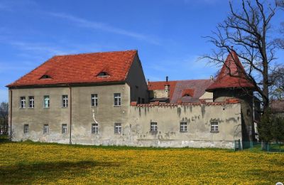 Castle Bielawa, Lower Silesia