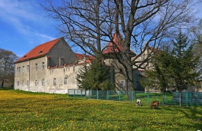 Castle for sale Bielawa, Wolności 92, Lower Silesia, Photo 4/7