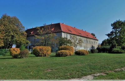 Castle for sale Bielawa, Wolności 92, Lower Silesia, Photo 7/7