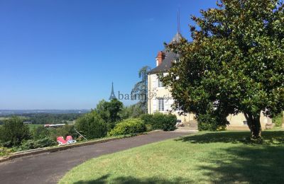 Manor House for sale Pau, New Aquitaine, Photo 18/23