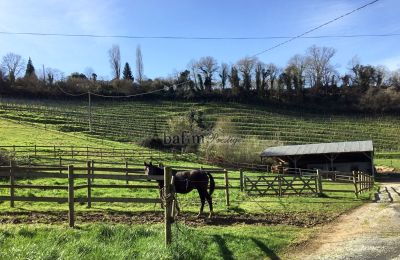 Manor House for sale Pau, New Aquitaine, Property