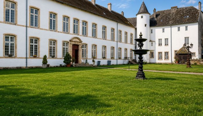Castle for sale Roussy-le-Bourg, Grand-Est