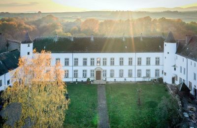 Castle for sale Roussy-le-Bourg, Grand-Est, Drone view