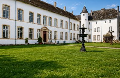 Castle Roussy-le-Bourg, Grand-Est