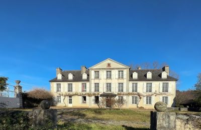 Manor House for sale Pau, New Aquitaine, Photo 2/18