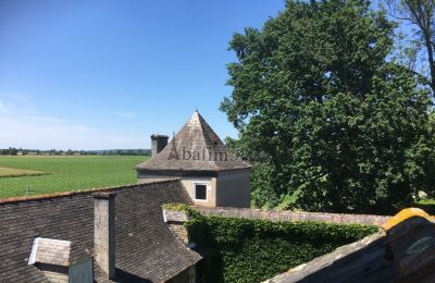 Manor House for sale Pau, New Aquitaine, Photo 17/18