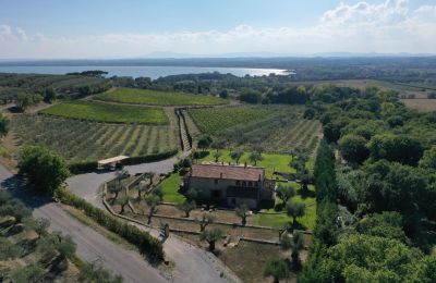 Country home for sale 06069 Tuoro sul Trasimeno, Umbria, Photo 2/23