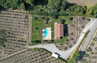 Country home for sale 06069 Tuoro sul Trasimeno, Umbria, Photo 3/23
