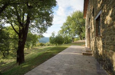 Country home for sale 06029 Valfabbrica, Umbria, Photo 18/49