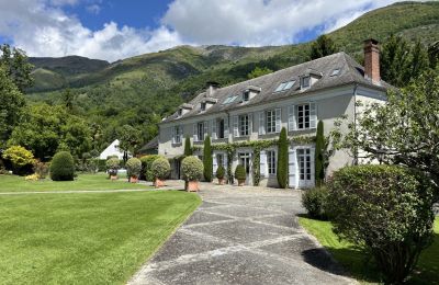 Character Properties, Manor with outbuildings and park near Lourdes - perfect country retreat
