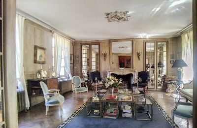 Castle for sale Burgundy-Franche-Comté, Drawing room