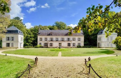 Castle for sale Burgundy-Franche-Comté, Manor