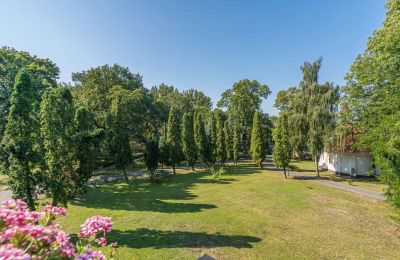 Castle for sale Mgowo, Pałac w Mgowie, Kuyavia-Pomerania, Palace Garden