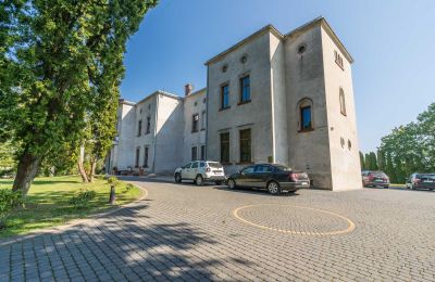 Castle for sale Mgowo, Pałac w Mgowie, Kuyavia-Pomerania, Photo 13/17