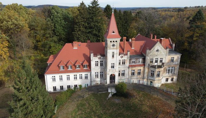 Castle for sale Grabiszyce Średnie, Lower Silesia,  Poland