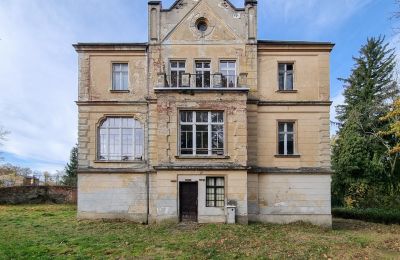 Castle for sale Grabiszyce Średnie, Lower Silesia, Side view