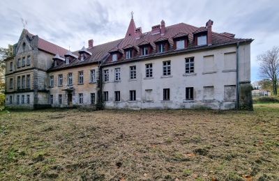 Castle for sale Grabiszyce Średnie, Lower Silesia, Back view