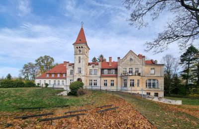 Castle for sale Grabiszyce Średnie, Lower Silesia, Photo 22/23