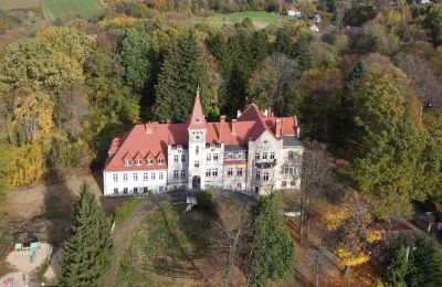 Castle for sale Grabiszyce Średnie, Lower Silesia, Pałac Grabiszyce Średnie