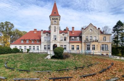 Castle for sale Grabiszyce Średnie, Lower Silesia, Front view