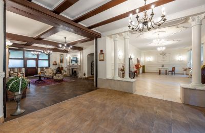 Castle for sale Wojnowice, Pałacowa, Silesia, Photo 4/15