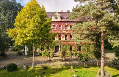 Castle for sale Wojnowice, Pałacowa, Silesia, Photo 15/15