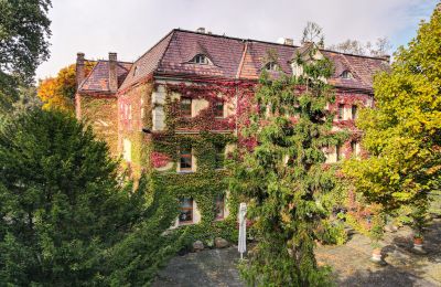 Castle for sale Wojnowice, Pałacowa, Silesia, Exterior View