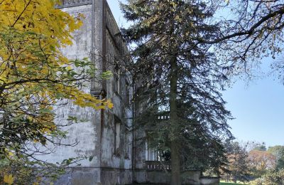 Castle for sale Górki Dąbskie, Pałac w Górkach Dąbskich, Kuyavia-Pomerania, Photo 13/22