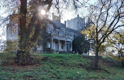 Castle for sale Górki Dąbskie, Pałac w Górkach Dąbskich, Kuyavia-Pomerania, Photo 14/22